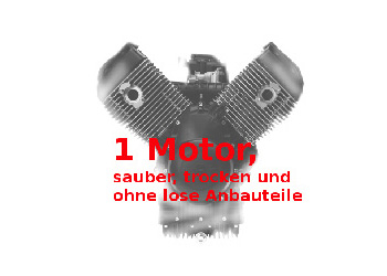max. ein Motor ist zubuchbar
