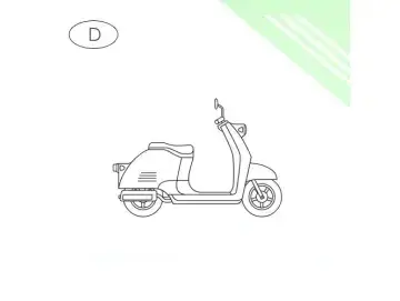 Blitz Bus, Roller Transport