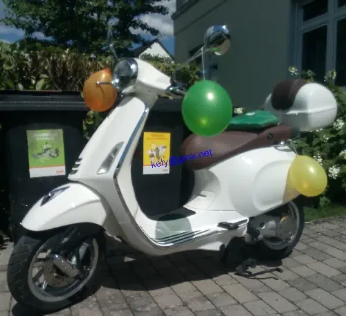 Roller Transport bunderweit bis max 160 kg oder 250 cm³