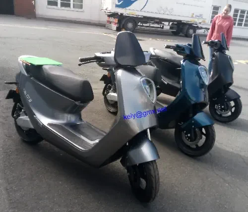 Roller Transport bunderweit bis max 160 kg oder 250 cm³